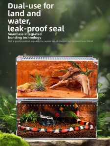 Tailwise | Ecological Reptile Terrarium For Gecko Lizard Tree Frog Snake Turtle