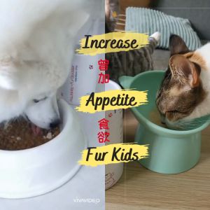 PAWMEO 2 in 1 Fur Booster + Probiotic Supplement for Cat & Dog (30 sachets) 1/2 boxes