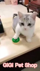 Chuông huấn luyện bấm gọi thú cưng chó mèo vui chơi giải trí giảm stress phụ kiện giá rẻ - GiGi Pet Shop