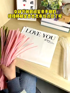 100Pcs 30cm*6mm Colorful Chenille Stems Stick Cleaners Chenille Stem Pipe Kindergarten Handmade Material Velvet Plush Strips