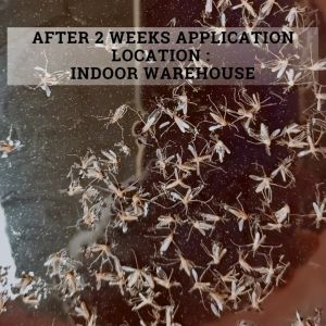 (FREE GIFT) Bio-MosKiller / Mosquito Larvae Killer / Biological Control Non Toxic / 灭蚊子诱饵 /Ubat Jentik Jentik Nyamuk