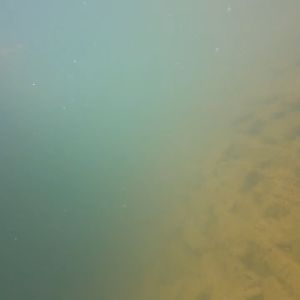 HAMURA COD U1 Umpan Pancing Palsu Terbaru 2025 Umpan Palsu Casting Umpan Palsu Semua Ikan Umpan Palsu 1 set Murah Umpan Palsu Belanak Umpan Palsu Ikan Laut Air Tawar Air Payau Umpan Casting Kakap Umpan Pancing Ikan Gabus Umpan Palsu Buat Casting Palsu