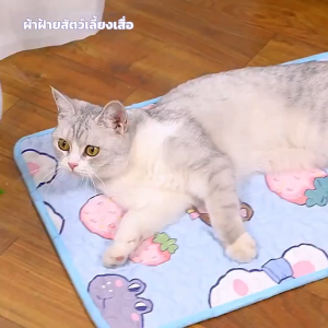 ​​เบาะรองนอนสัตว์เลี้ยงพีวีซีกันลื่น สำหรับทุกสายพันธุ์​