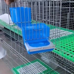 Rabbit Feeder: A Multi-Purpose Pet Feeding Station