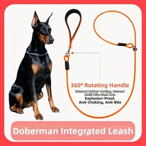 Jiaxun | Doberman Anti-Charging Training Lead
