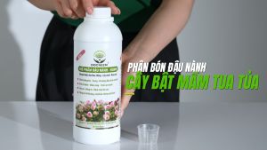 Phân bón đậu nành Docneem - Giàu đạm kích rễ khỏe dài vươn mầm chồi cây khỏe