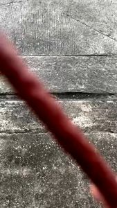 YTL ขนมสุนัช ไก่แพ็คใหญ่ ผักอบแห้ง บริสุทธิ์สำหรับสุนัขแบบแท่งนิ่ม บิสกิตสุนัช