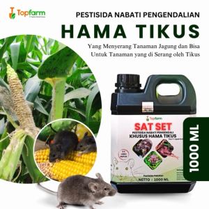 Insektisida Topfarm / Pestisida Topfarm: Solusi Pengendalian Hama Jagung & Ubi Jalar