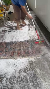 Unbeatable Carpet Cleaning at Just $2.50 per sq.ft – Freshness Guaranteed!