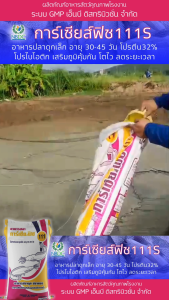 อาหารปลาเกรดพรีเมียม การ์เซียส์ฟิช 111 32% เม็ดเล็ก 20 kg - Lazada