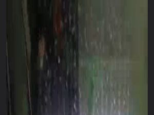 Lampu Led Warna-Warni Untuk Akuarium Ikan