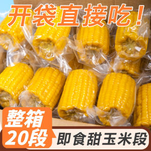 【80gx11pcs】fruit corn 精选即食水果甜玉米段开袋即食真空包装学生宿舍免煮零食早餐代餐