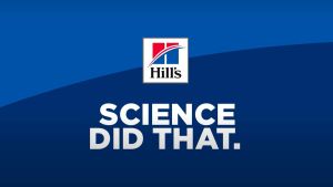 Hills Science Diet Adult 7+ Small Bites Chicken Meal Barley & Rice Recipe Dry Dog Food 2kg