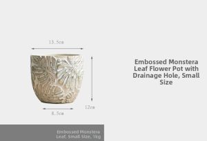 Decorative Cement Flower Pot for Green Plants And Succulents Vintage Thick Color P023 Simple Modern Style Plant Pots