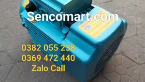 Mô tơ điện 220v 3kw 2900vòng /phút chính hãng Toàn Phát