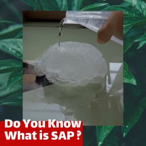 (200g/ 500g/ 1kg pack) water retention / water bank crystal gel / super absorbent polymer (SAP) 耕种类保水凝胶