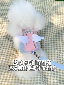 สายรัดอกสูงสุด เสื้อรัดอก สายรัดอกสูงสุด สายรัดหน้าอกสัตว์เลี้ยง โดดเด่นใหม่ที่สุด เพื่อให้คุณสมบัติถึงความสวยงามและความมั่นใจของคุณ!