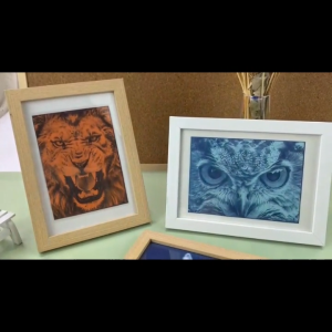 DIY Cyanotype Kit Make Your Own Blueprints Sun Printing Ideal for Beginners Dye Projects Fabric Paper Arts Crafts