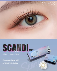 OLENS Scandi 1Month Gray 2P + Free Case