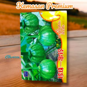 (KEMASAN PREMIUM) BIJI/BENIH TANAMAN ZUCCHINI BULAT HIJAU