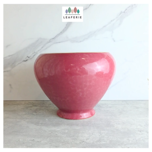 The Leaferie Junia plant pots Ceramic flowerpot flowerpots flower pot planter planters