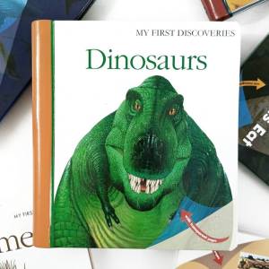 Moonlight My First Discoveries Dinosaurs