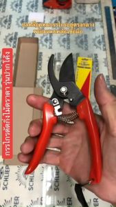 EYE BRAND กรรไกรตัดกิ่งไม้ตราตา รุ่นปากโค้ง ขนาด 6.5 นิ้ว กรรไกรตัดแต่งกิ่งไม้ Pruning Shear