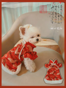 Red Wedding Dress Cat Doll Cotton Jacket Maltese New Year Tang Suit Cat Marriage Ceremony Clothes Winter Red Cotton Coat