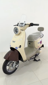 9Thunders_EV มอเตอร์ไซค์ไฟฟ้า รถไฟฟ้าผู้ใหญ่ รถมอเตอร์ไซค์ไฟฟ้า electric motorcycle 60V20Ah