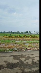 Celana Chinos Panjang Pria Slim Fit Casual