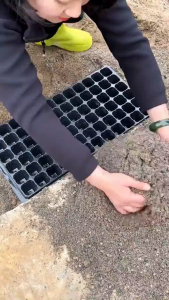 10ใบ ถาดเพาะพลาสติก ถาดเพาะชำ [50/105/128หลุม] Bekas Semaian ถาดเพาะ ถาดเพาะต้นกล้า สวนโปสเตอร์โรงเพาะต้นไม้กล่องปลูกหม้อ ผักสลัด ผักไฮโดร ปลูกผัก