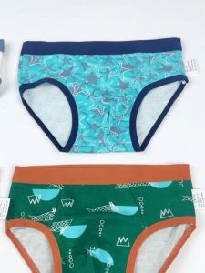 Magic Selection Kids 4Pcs Boys Underwear Brief Pure Cotton Cartoon Print Cotton Antibacterial Safety Brief 2-15 Years