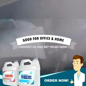Patkins 2-in-1 Multipurpose Disinfectant & Fogging Solution – Bleach-Free Ready-to-Use (1 Gallon)