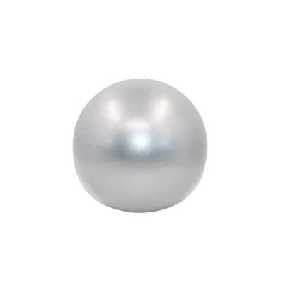 25cm Pilates Ball Explosion-proof Yoga Core Ball Indoor Balance Exercise Gym Ball for Fitness Pilates Equipment мяч для фитнеса