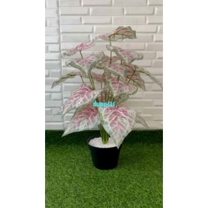 Pohon Artificial Tanaman Hias Calladium Pink X18 Semilatex Pot Dasar Hitam Dekorasi Cafe Aesthetic