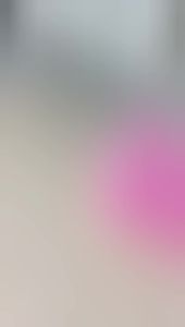 Tempat Kue Persegi dan Bulat Plastik Vanessa Cake Storage Wadah Serbaguna Vanessa Varian Warna