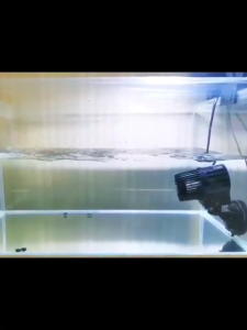 พัดลมทำคลื่นตู้ปลา HiDom รุ่น WM-401 1หัว/WM-402 2หัว/WM-404 4หัว หัวช่วยให้น้ำเกิดการหมุนเวียนของน้ำ Wave Maker Pump