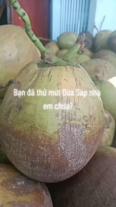 500gr Mứt Dừa Sáp Thượng Hạng Loại 1 - Vị Lá Dứa