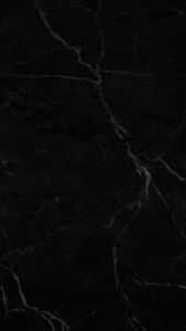 Bubu Paws Shampoo & Conditioner 1000ML The Best Dog Shampoo Brighten Your Dogs Coat Easily Effective Anti-Tick Shampoo for Dogs Perfect Grooming for Dog Shows