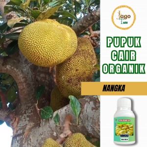 Pupuk Organik Cair Buah Nangka 100 Ml Pencegah Kerontokan Dan Pelebat Buah By Jagotani Yogyakarta