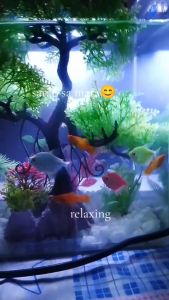 Aquarium Artificial Plants Landscaping Artificial Plastic Water Grass Fake Tree Fish Tank Decor