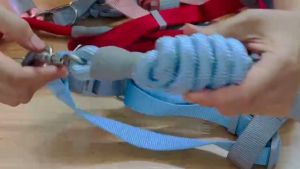 Bộ dây dắt cho Chó Mèo kèm yếm Macaron có móc khoá bằng hợp kim (mẫu mới) - Hara Pet Store