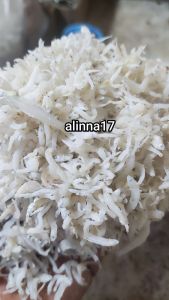 teri nasi / teri medan putih bersih ukuran kecil rata kering murah berkualitas100%