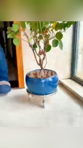 TWOL 1pc Gas Tank Rack With Wheels Moveable Rolling Tray landege Propane Cylinder Base Propane Tank Stand