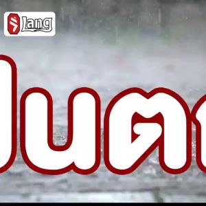 ✅1000 เมตรไม่มีตะขาบ✅ LPP ไล่ตะขาบ กําจัดตะขาบ กันตะขาบ 1 กระปุก 16 ชิ้น ใช้ได้ 24 เดือน ขับไล่ตะขาบและสัตว์เลื้อยคลาน แมลงบินขนาดเล็ก ฯลฯ ยาฆ่าตะขาบ ยา ไล่ ตะขาบ ฆ่าตะขาบ ยากันตะขาบ