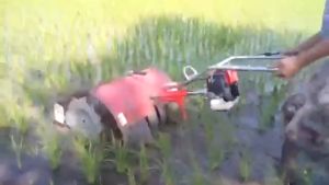 เครื่องกรีดข้าว 1.5HP เครื่องยนต์เบนซิน 2 จังหวะ 43CC KK43G | 45CC KK45G เค-โอเค พาวเวอร์|Rice Paddy Weeder 1.5HP Gasoline Engine|คุณภาพดี พร้อมส่ง