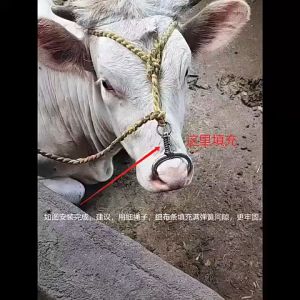 Hidung Sapi Otomatis/Penjepit Hidung Sapi /Sapi Besar Hidung /Peternakan Sapi Bahan Stainless Steel