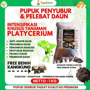 Pupuk Tanaman Hias Platycerium Tanduk Rusa / Obat Akar Tanaman Hias Platycerium / Pupuk Tanaman Hias Tanduk Rusa / Pupuk Penyubur Bunga Tanduk Rusa