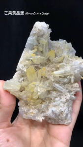 FA CAI Citrine Cluster from Colombia 😍Nickname甜甜的🥭哥伦比亚天然发财黄晶簇😍，（Mango Citrine Cluster）