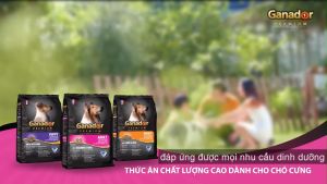 Bao 10kg-20kg Hạt Ganador Cao Cấp Dành Cho Chó Nhiều Vị Bao Xá
